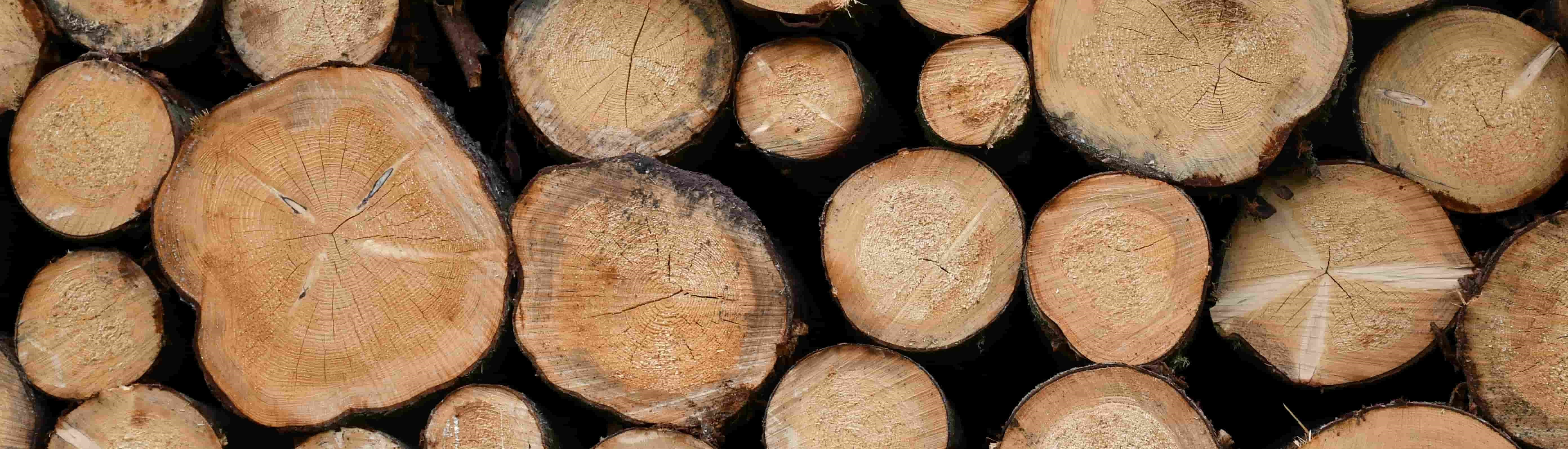 logs